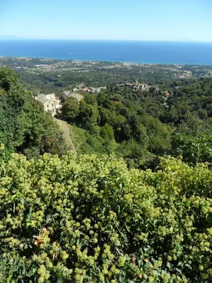 Paysage naturel près de l'appartement