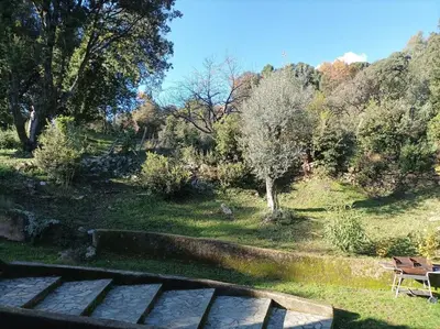 Paysage naturel près de l'appartement