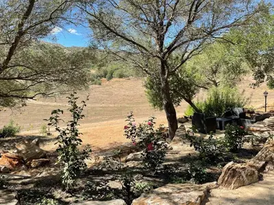 Paysage naturel près de la maison de vacances