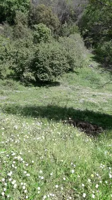 Paysage naturel près de la maison de vacances