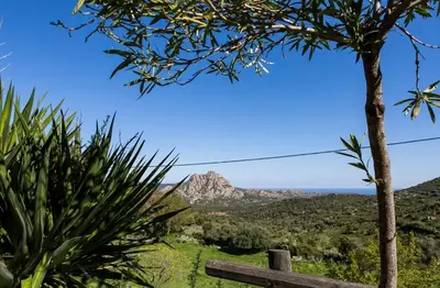 Paysage naturel près de l'appartement