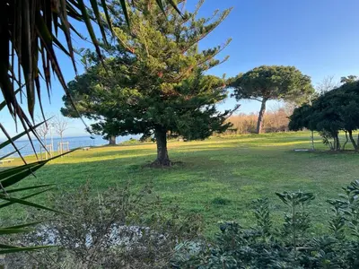 Paysage naturel près de l'appartement