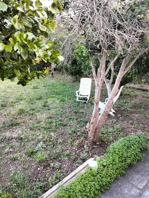 Jardin de l'établissement Maison individuelle padulella