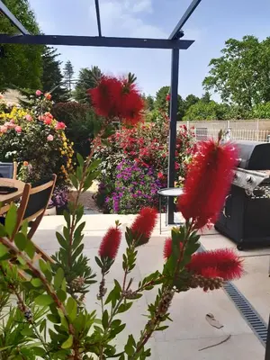 Jardin de l'établissement Amon nos Ôtes