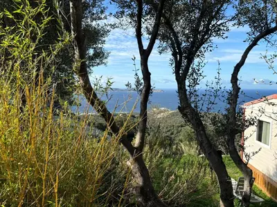 Paysage naturel près de le camping