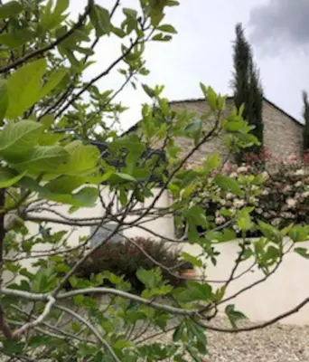 Jardin de l'établissement Magnifique Bergerie en Pierre