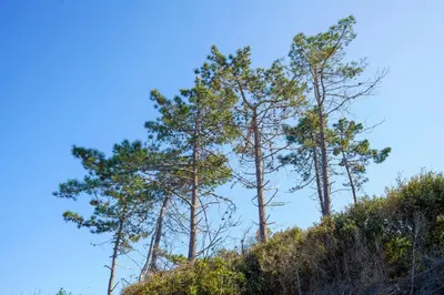 Paysage naturel près de l'appartement